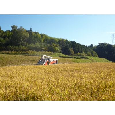 令和7年産 鏡野町産 きぬむすめ 精米10kg