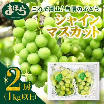 【2026年度発送分】早起き農家の直送便　お土産シャインマスカット2房