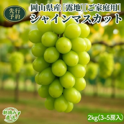 【2026年先行予約】[露地]岡山県産シャインマスカット 2kg (3～5房入)ご家庭用