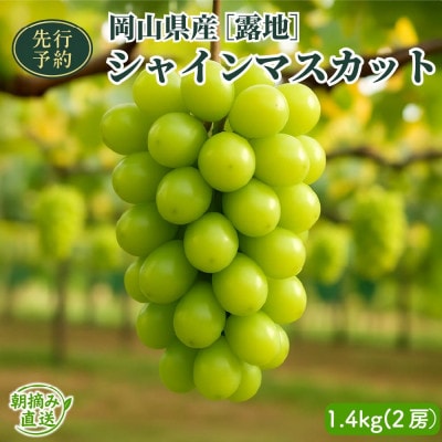 【2026年先行予約】[露地]岡山県産シャインマスカット 1.4kg(2房)