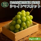 [貯蔵蔵出]岡山県産シャインマスカット 2kg(3～5房入)ご家庭用