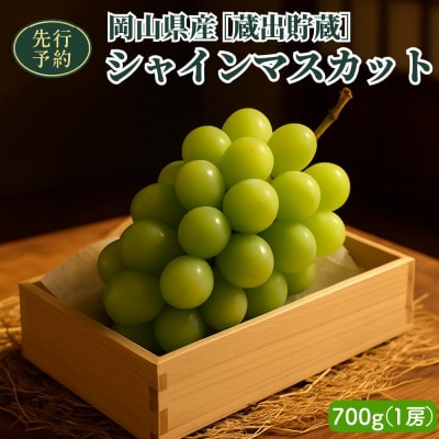 [貯蔵蔵出]岡山県産シャインマスカット 700g