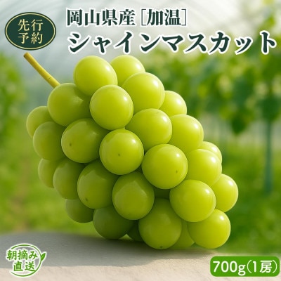 【2026年先行予約】[加温]岡山県産シャインマスカット700g(1房)