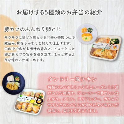 冷凍おかず Studish5種セット
