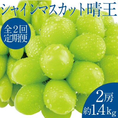 【発送月固定定期便】9月10月 シャインマスカット晴王 2房約1.4kg全2回