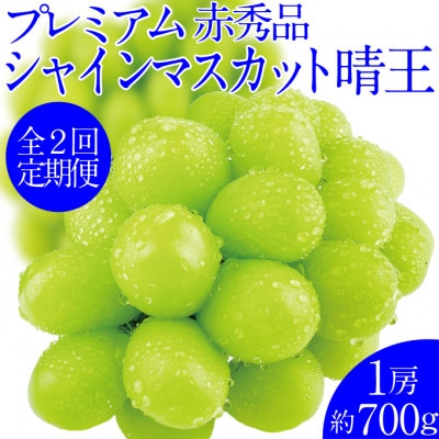 【発送月固定定期便】プレミアムシャインマスカット晴王 1房 約700g全2回