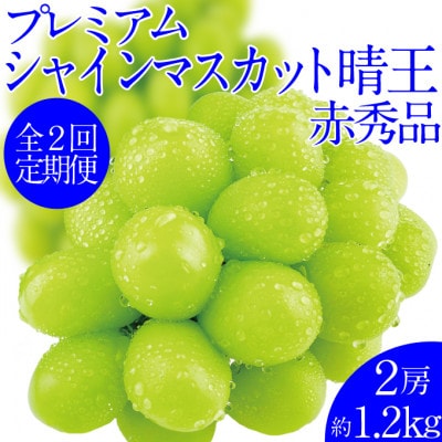 【発送月固定定期便】プレミアムシャインマスカット晴王 2房約1.2kg全2回