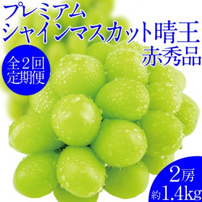 【発送月固定定期便】プレミアムシャインマスカット晴王 2房約1.4kg全2回