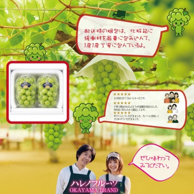 【発送月固定定期便】9月10月岡山県産 木熟プレミアムシャインマスカット晴王 2房約1.6kg全2回
