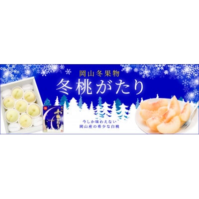 冬桃がたり6～9玉