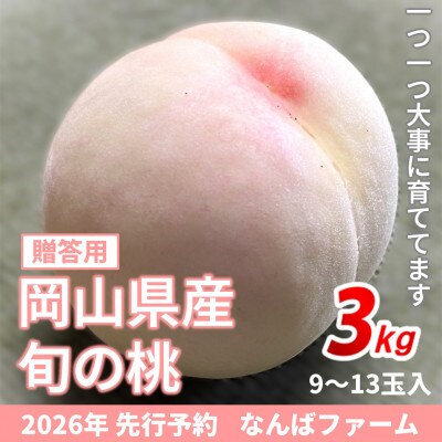 【2026年先行予約】岡山県産 旬の桃[贈答用] 3.0kg(9～13玉)農家直送