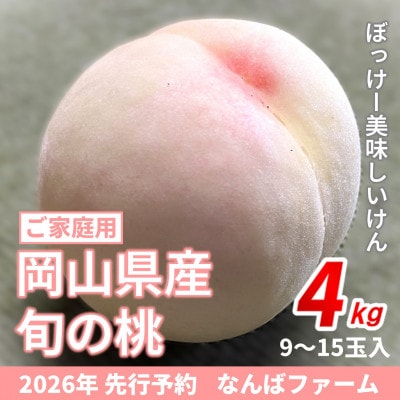 【2026年先行予約】岡山県産 旬の桃[ご家庭用] 4.0kg(9～15玉)農家直送