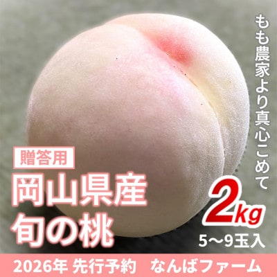 【2026年先行予約】岡山県産 旬の桃[贈答用]2.0kg(5～9玉)農家直送