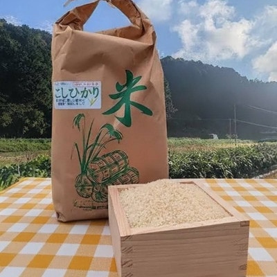 令和7年産　コシヒカリ　精米(5kg×1袋)　鏡野町入地区産