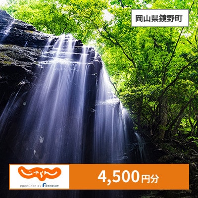 【じゃらんふるさと納税クーポン】 岡山県鏡野町でつかえる4,500円 クーポン