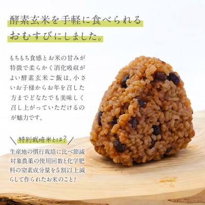 冷凍 酵素玄米おむすび(つや姫) 10個セット FY25-270