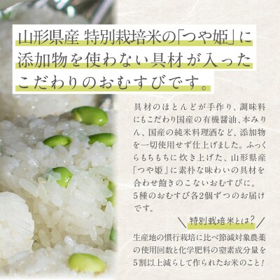 つや姫使用 無添加冷凍おむすび10個 食べ比べセット FY25-268