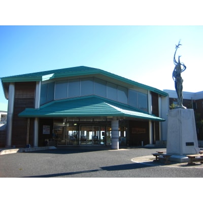 客室から太平洋が一望できる!公共の宿マウントあかね【4名様1泊2食付ご宿泊券】★和室8畳　趣膳★