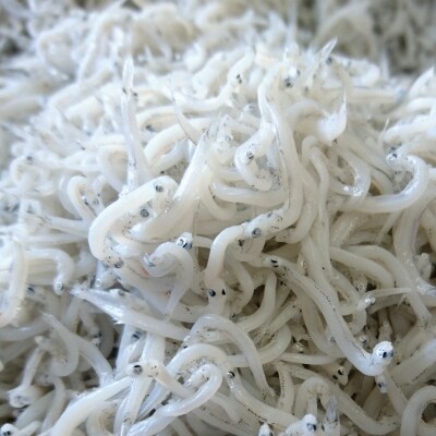 釜揚げしらす丼の素　極上2人前×4パック