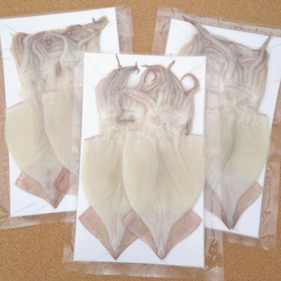 北茨城市大津港産　真いか一夜干し　2枚入り×3パック