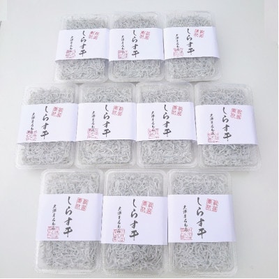 しらす干し　180g×10パック