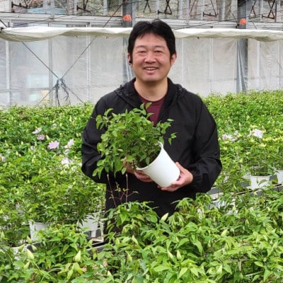 【長谷川園芸】北茨城産 クレマチス「華川」5寸 ※4/30～5/6発送