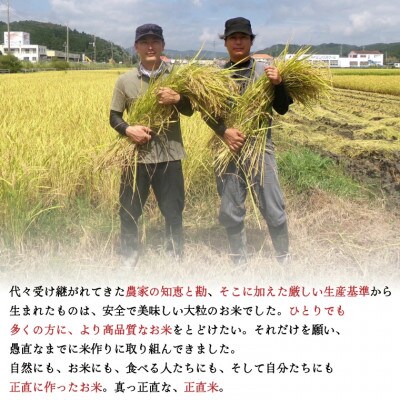 【令和6年産】正直米(特秀)5kg　特別栽培米 　精米　コシヒカリ