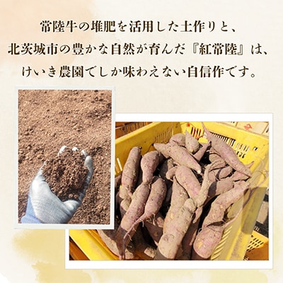 紅常陸　平干し　1kg(100g×10袋)