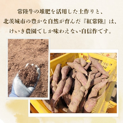 紅常陸　丸干し　800g(100g×8袋)