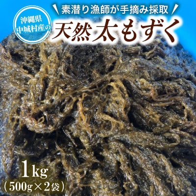【数量限定・産地直送】素潜り漁師が手摘み採取!幻の天然もずく 塩蔵1kg(500g×2袋)