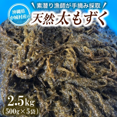 【数量限定・産地直送】素潜り漁師が手摘み採取!幻の天然もずく 塩蔵2.5kg(500g×5袋)