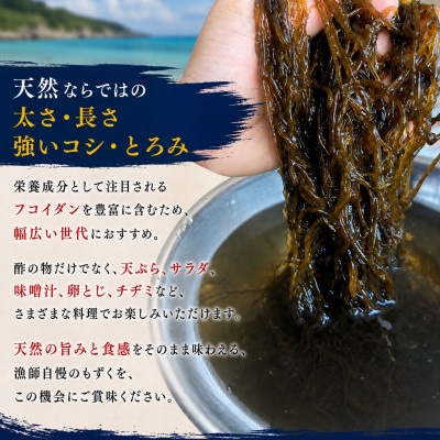 【2026年6月より順次発送】中城村産の天然太もずく 2.5kg(500g×5P)