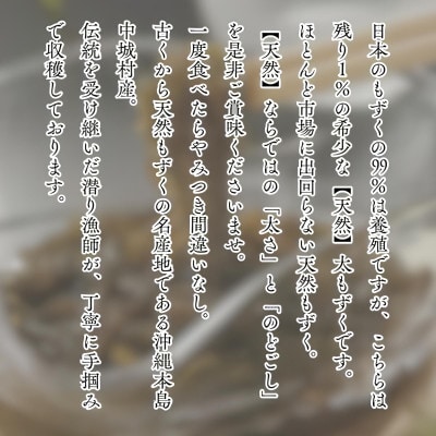 【2026年6月より順次発送】中城村産の天然太もずく 5.0kg(500g×10P)