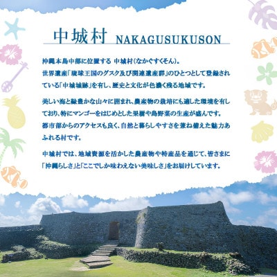 【焼物・やちむん】手作り 伝統工芸品 小立シーサー