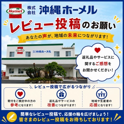 【沖縄ホーメルお試しセット】レトルトタコライス レギュラー 8食(2食×4袋)