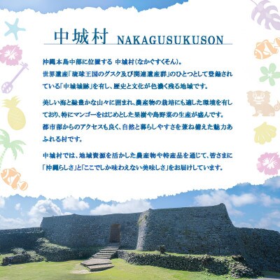 沖縄ホーメル スパイシーポークタン 計1500g(150g×10本)