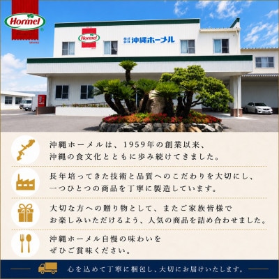 のし付き　沖縄ホーメル お中元ギフト 沖縄郷土料理6種レンジアップセット