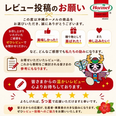 のし付き　沖縄ホーメル お中元ギフト 沖縄郷土料理6種レンジアップセット