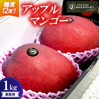 【2026年6月下旬から順次発送】マルトウマンゴーの家庭用アップルマンゴー1kg