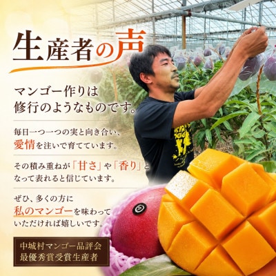 【2026年6月下旬から順次発送】マルトウマンゴーの家庭用アップルマンゴー1kg