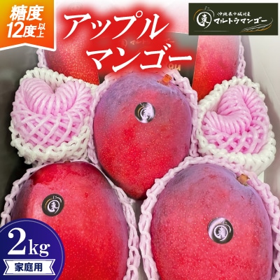 【2026年6月下旬から順次発送】マルトウマンゴーの家庭用アップルマンゴー2kg