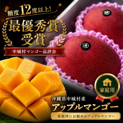【2026年6月下旬から順次発送】マルトウマンゴーの家庭用アップルマンゴー2kg