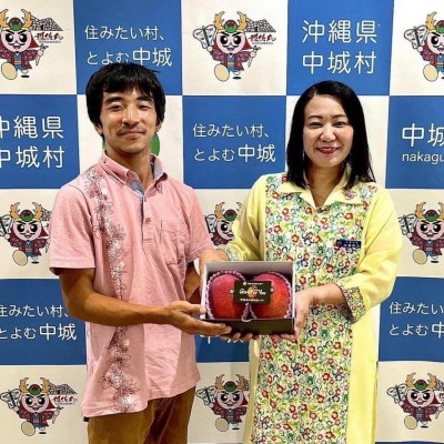 【2026年6月下旬から順次発送】マルトウマンゴーの家庭用アップルマンゴー2kg