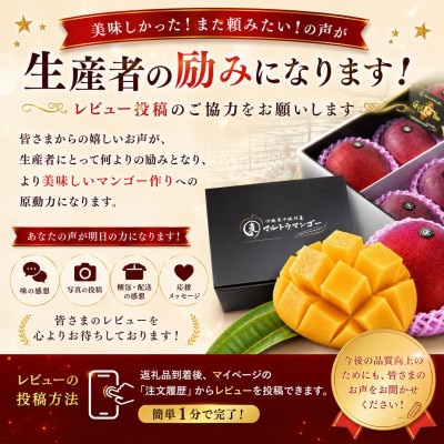 【2026年6月下旬から順次発送】マルトウマンゴーの家庭用アップルマンゴー2kg