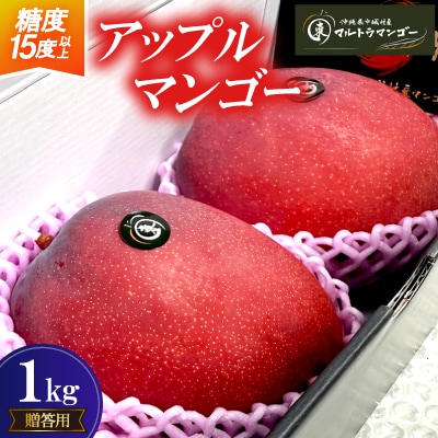 【2026年6月下旬から順次発送】マルトウマンゴーの贈答用アップルマンゴー1kg