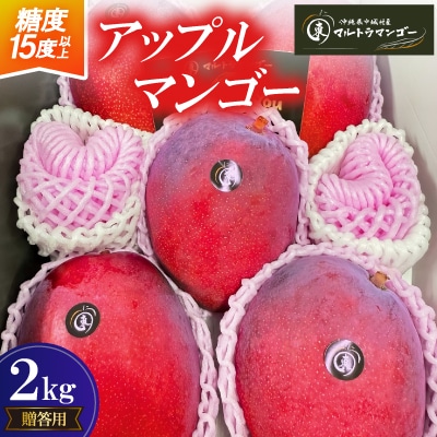 【2026年6月下旬から順次発送】マルトウマンゴーの贈答用アップルマンゴー2kg