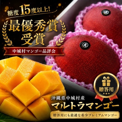 【2026年6月下旬から順次発送】マルトウマンゴーの贈答用アップルマンゴー2kg