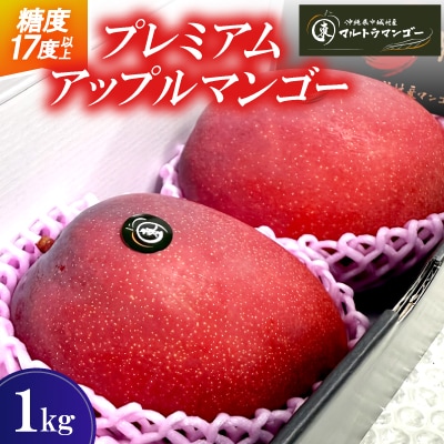 【2026年6月下旬から順次発送】マルトウマンゴーのプレミアム アップルマンゴー1kg
