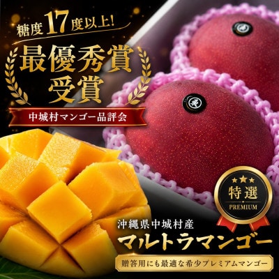 【2026年6月下旬から順次発送】マルトウマンゴーのプレミアム アップルマンゴー1kg