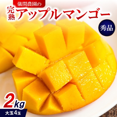 y2026N6{珇EpzVԔ_̊nAbv}S[ Gi2kg(4)